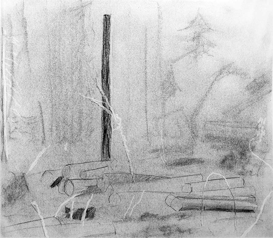 forest works