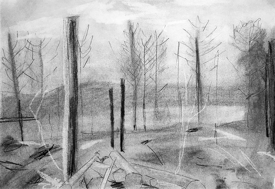 forest works
