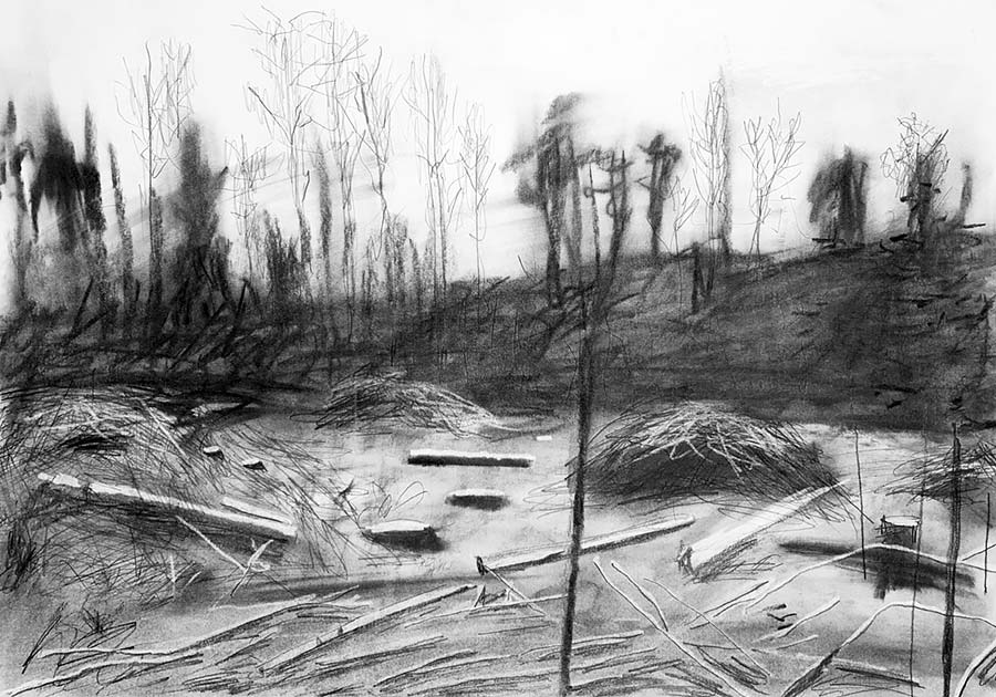 forest works