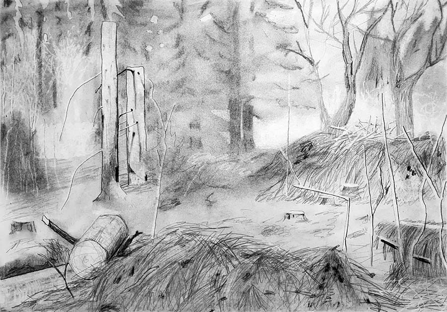 forest works