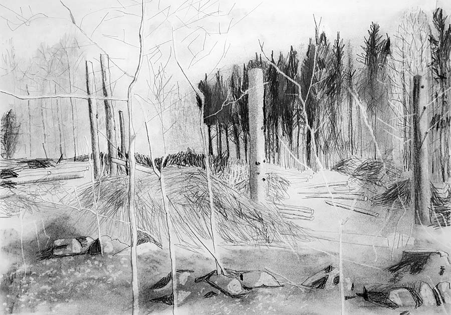 forest works