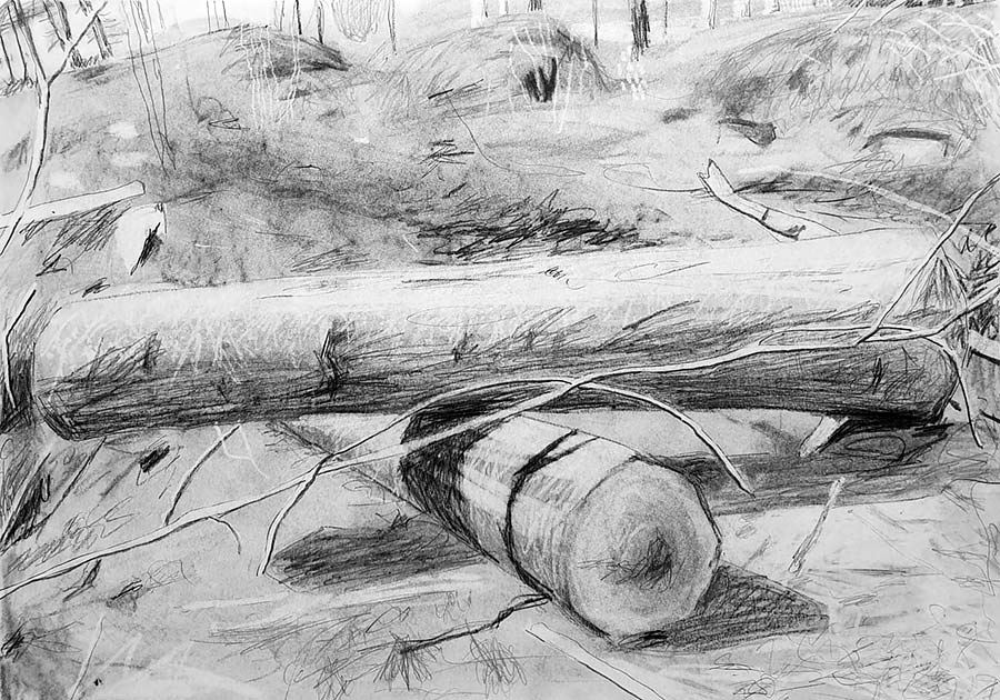 forest works
