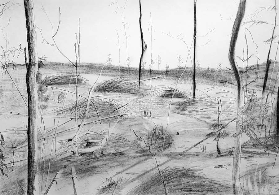 forest works