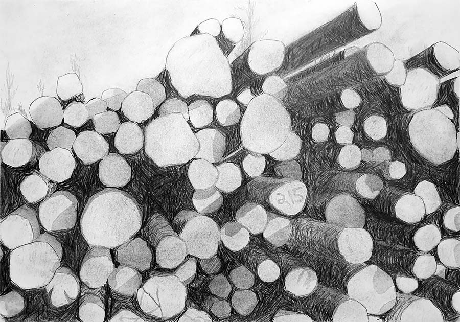 forest works