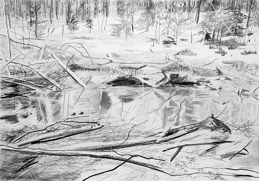 forest works