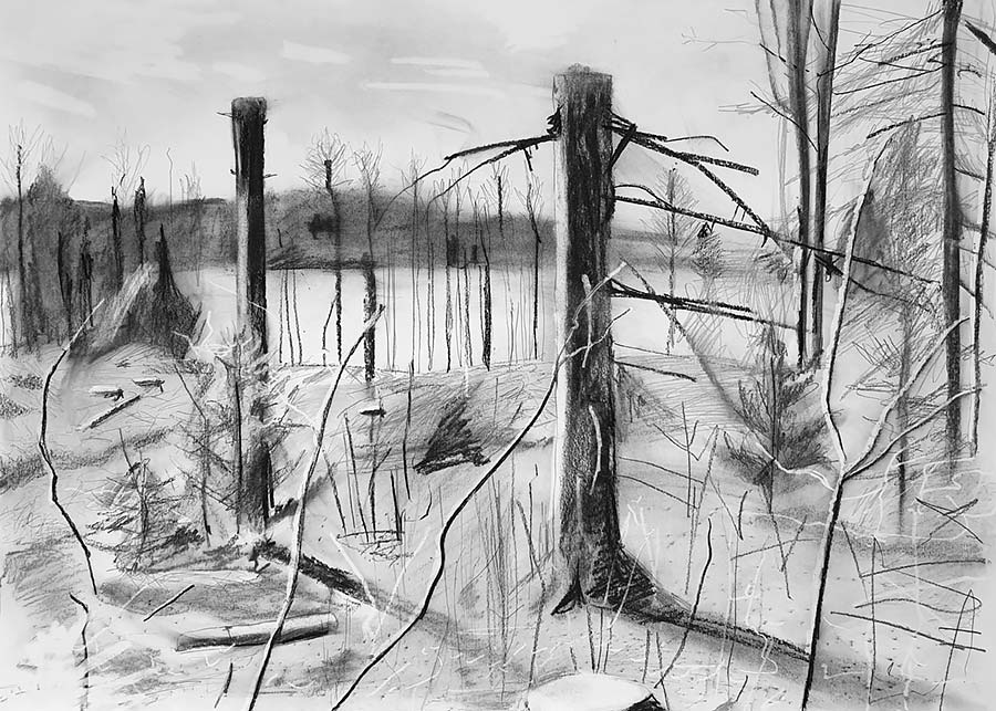 forest works