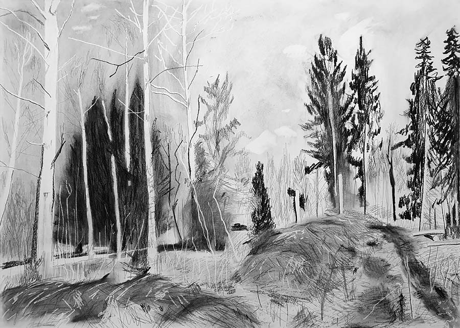 forest works