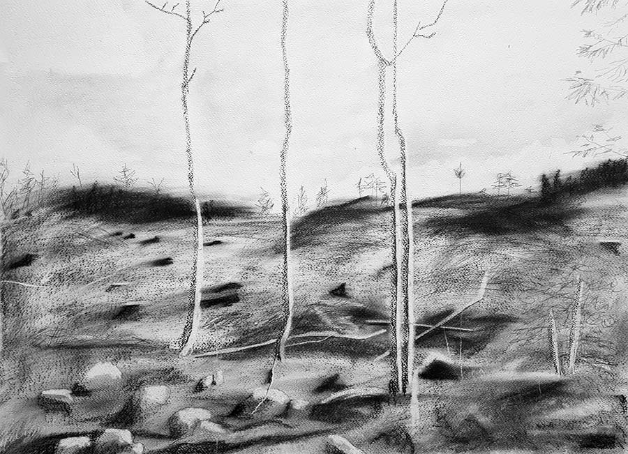 forest works