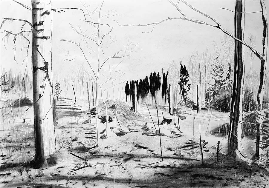 forest works