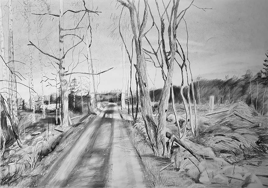 forest works