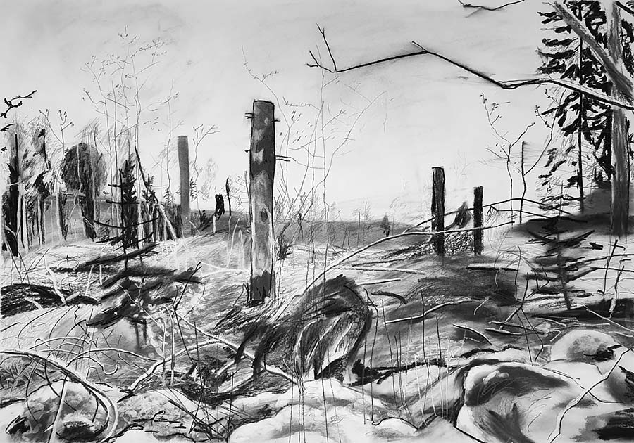 forest works